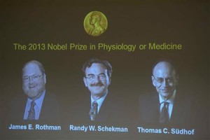 Portraits of winners of the 2013 Nobel prize for medicine or physiology, James Rothman, Randy Schekman and Thomas Suedhof, are displayed on a screen at the Nobel Assembly in Stockholm